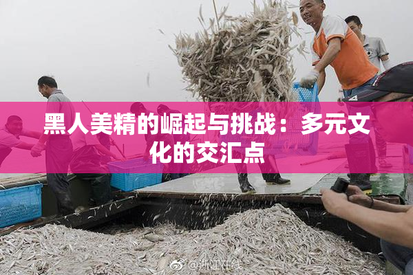 黑人美精的崛起与挑战：多元文化的交汇点