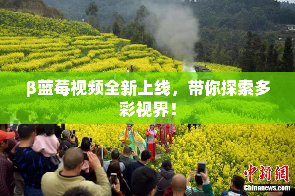β蓝莓视频全新上线，带你探索多彩视界！