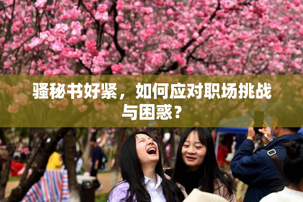 骚秘书好紧，如何应对职场挑战与困惑？