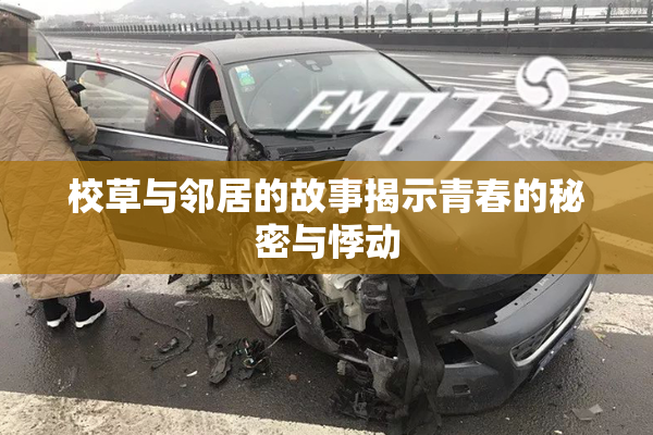 校草与邻居的故事揭示青春的秘密与悸动
