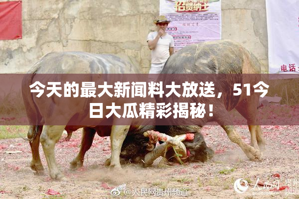 今天的最大新闻料大放送，51今日大瓜精彩揭秘！