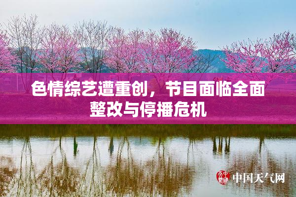 色情综艺遭重创，节目面临全面整改与停播危机