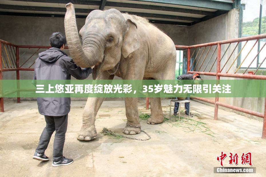 三上悠亚再度绽放光彩，35岁魅力无限引关注