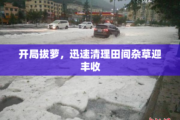 开局拔萝，迅速清理田间杂草迎丰收