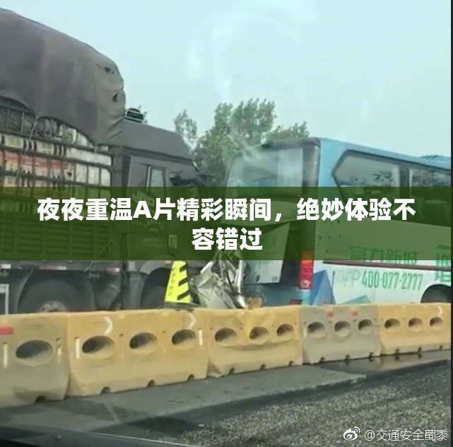 夜夜重温A片精彩瞬间，绝妙体验不容错过