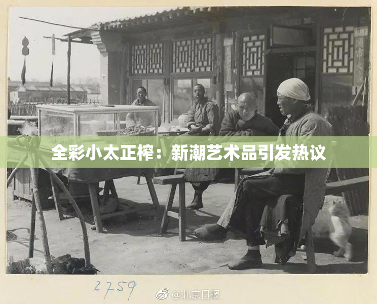 全彩小太正榨：新潮艺术品引发热议
