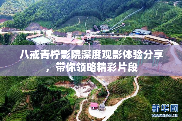 八戒青柠影院深度观影体验分享，带你领略精彩片段