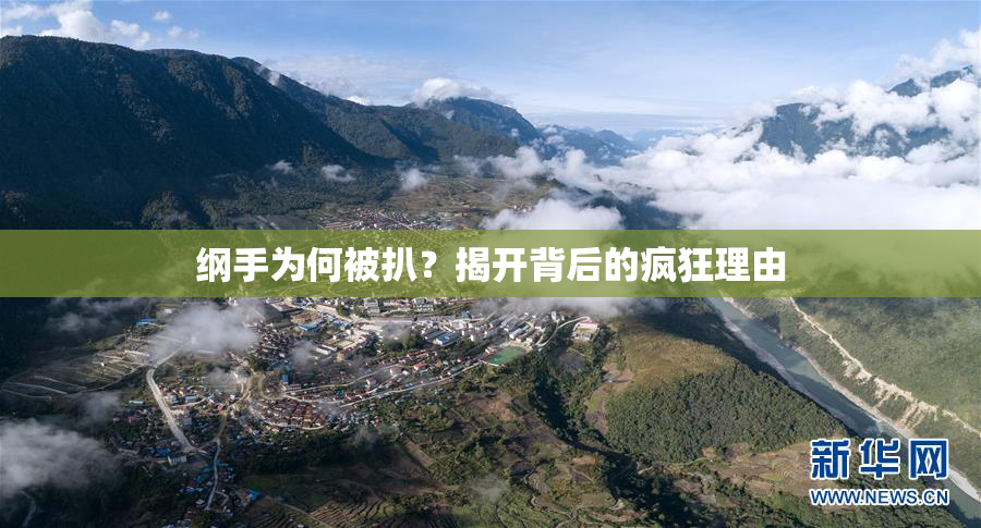 纲手为何被扒？揭开背后的疯狂理由