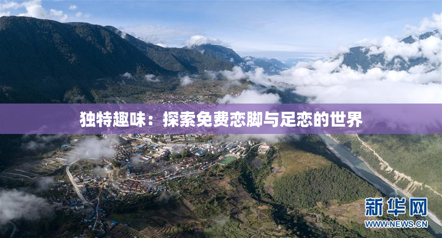 独特趣味：探索免费恋脚与足恋的世界