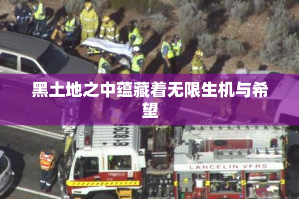 黑土地之中蕴藏着无限生机与希望