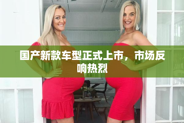 国产新款车型正式上市，市场反响热烈