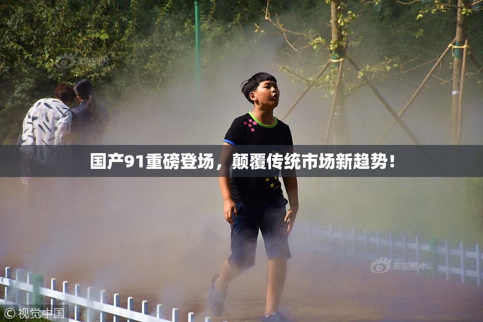 国产91重磅登场，颠覆传统市场新趋势！