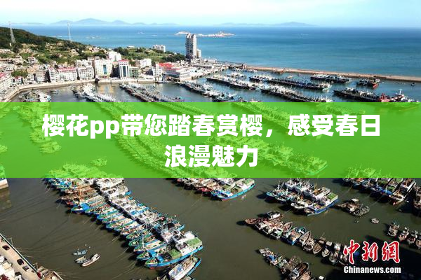 樱花pp带您踏春赏樱，感受春日浪漫魅力