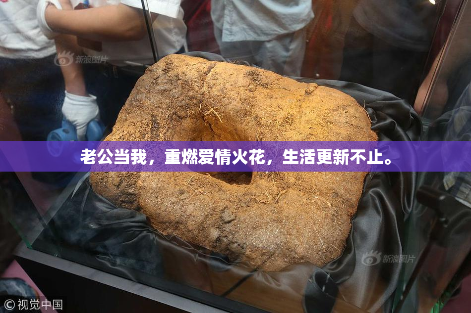 老公当我，重燃爱情火花，生活更新不止。