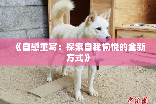 《自慰重写：探索自我愉悦的全新方式》