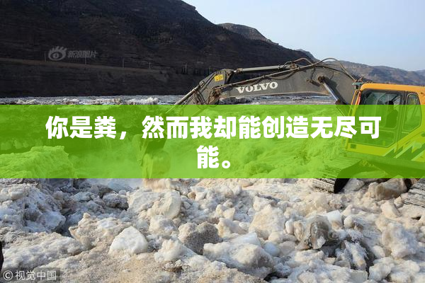 你是粪，然而我却能创造无尽可能。