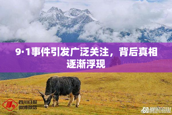9·1事件引发广泛关注，背后真相逐渐浮现