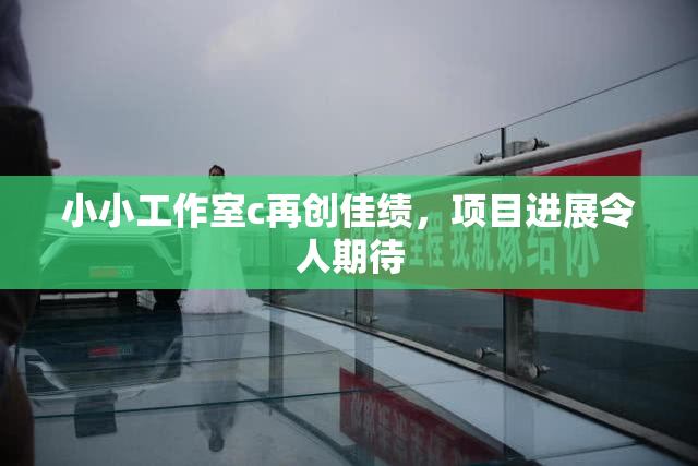 小小工作室c再创佳绩，项目进展令人期待
