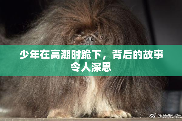 少年在高潮时跪下，背后的故事令人深思