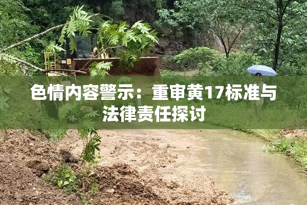 色情内容警示：重审黄17标准与法律责任探讨