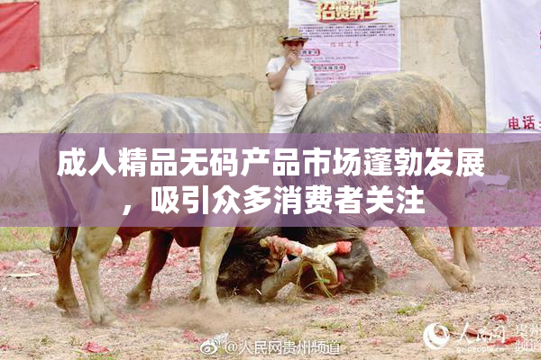 成人精品无码产品市场蓬勃发展，吸引众多消费者关注