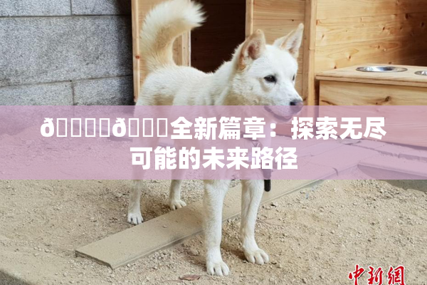 🔞‌🍌全新篇章：探索无尽可能的未来路径
