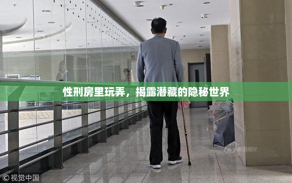 性刑房里玩弄，揭露潜藏的隐秘世界