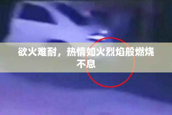 欲火难耐，热情如火烈焰般燃烧不息