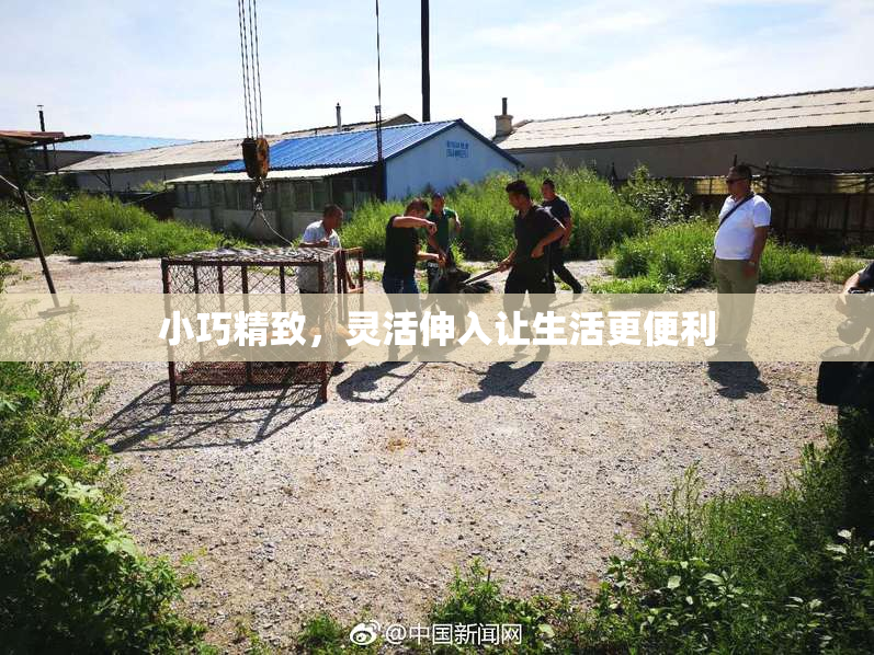 小巧精致，灵活伸入让生活更便利