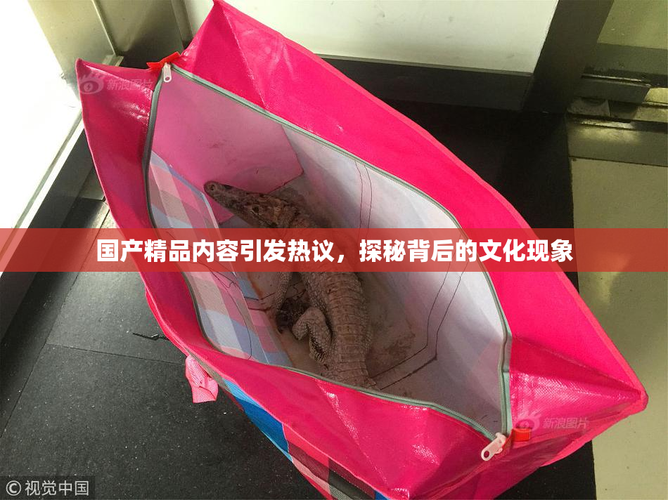 国产精品内容引发热议，探秘背后的文化现象