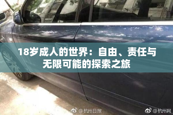 18岁成人的世界：自由、责任与无限可能的探索之旅