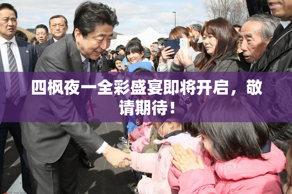 四枫夜一全彩盛宴即将开启，敬请期待！