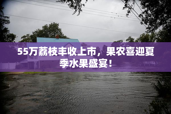 55万荔枝丰收上市，果农喜迎夏季水果盛宴！