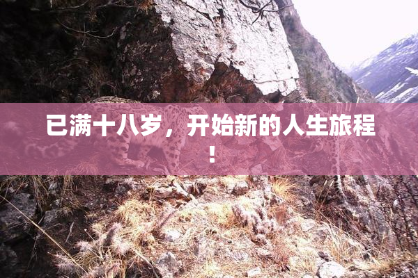 已满十八岁，开始新的人生旅程！