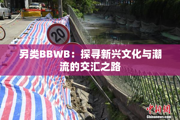 另类BBWB：探寻新兴文化与潮流的交汇之路