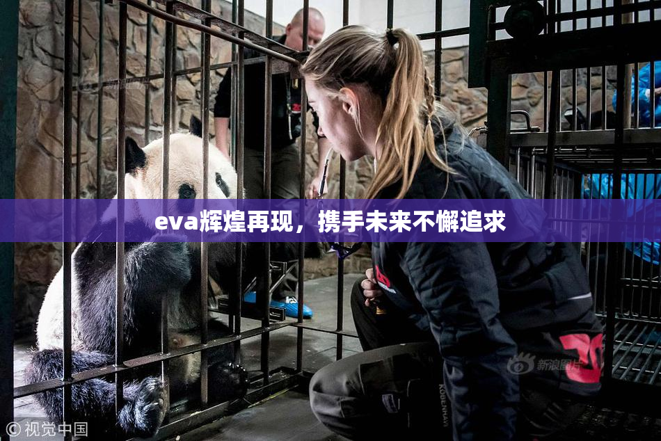 eva辉煌再现，携手未来不懈追求