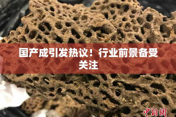 国产成引发热议！行业前景备受关注