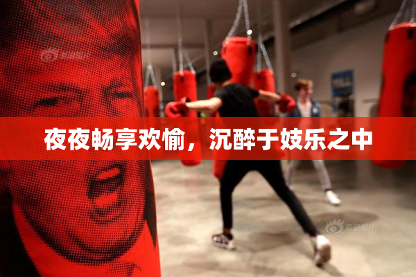 夜夜畅享欢愉，沉醉于妓乐之中