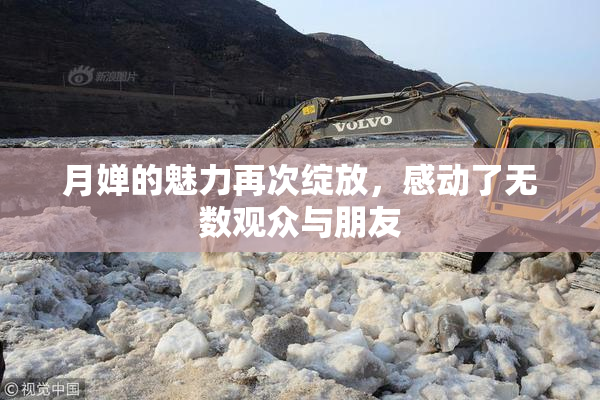 月婵的魅力再次绽放，感动了无数观众与朋友