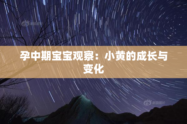 孕中期宝宝观察：小黄的成长与变化