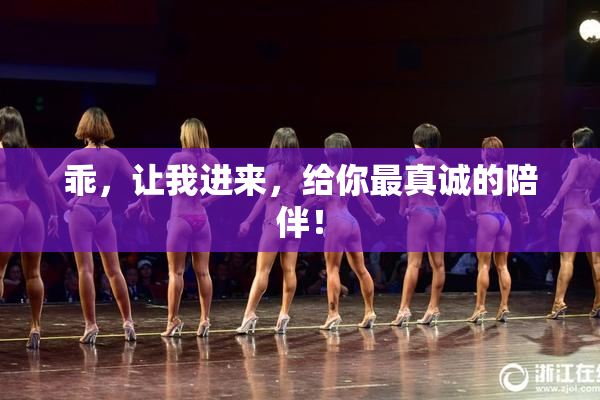 乖，让我进来，给你最真诚的陪伴！