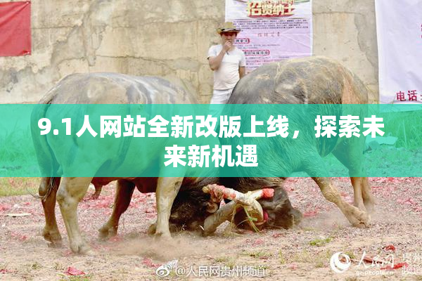 9.1人网站全新改版上线，探索未来新机遇