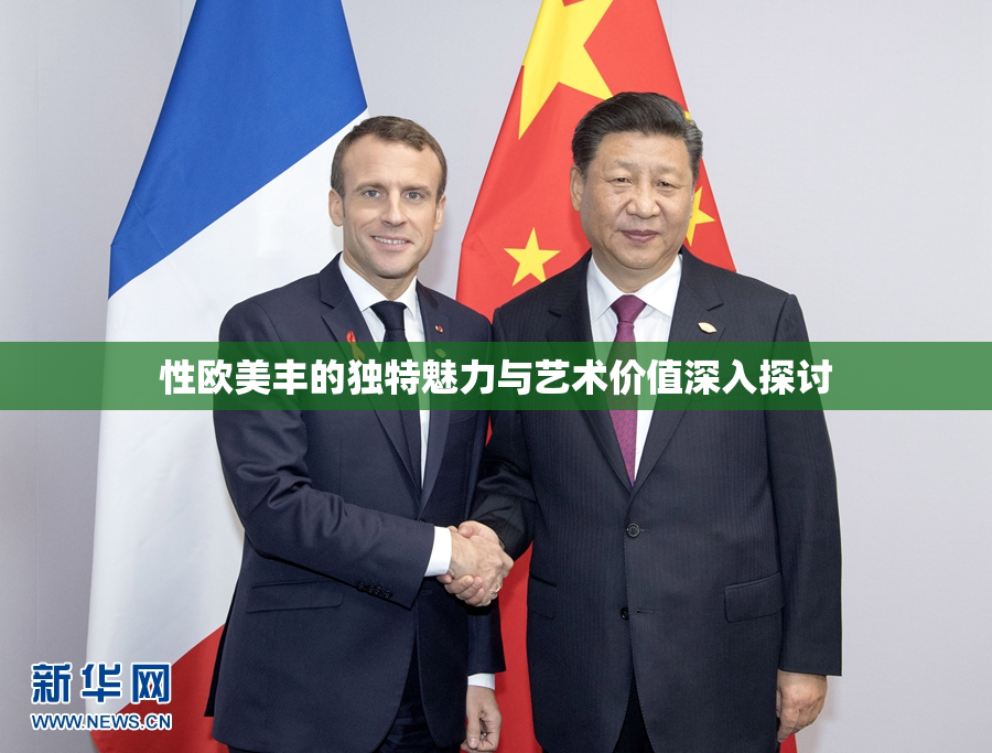 性欧美丰的独特魅力与艺术价值深入探讨