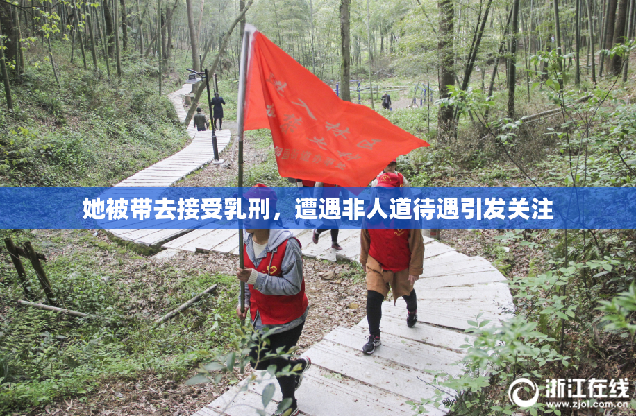 她被带去接受乳刑，遭遇非人道待遇引发关注