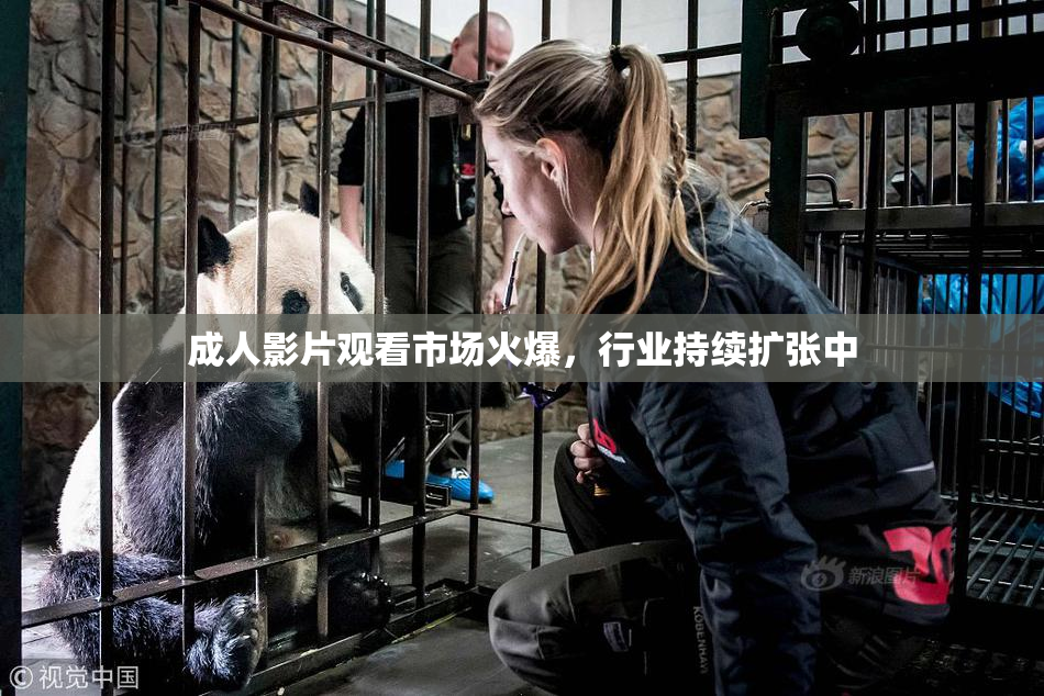 成人影片观看市场火爆，行业持续扩张中
