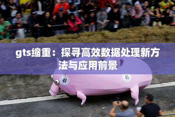 gts缩重：探寻高效数据处理新方法与应用前景