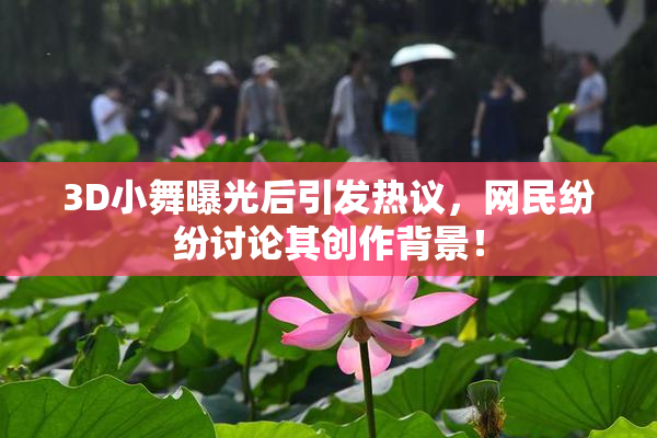 3D小舞曝光后引发热议，网民纷纷讨论其创作背景！