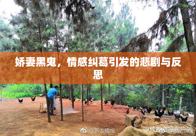 娇妻黑鬼，情感纠葛引发的悲剧与反思