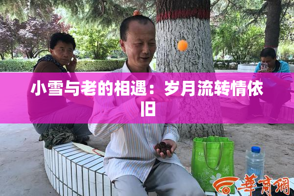 小雪与老的相遇：岁月流转情依旧