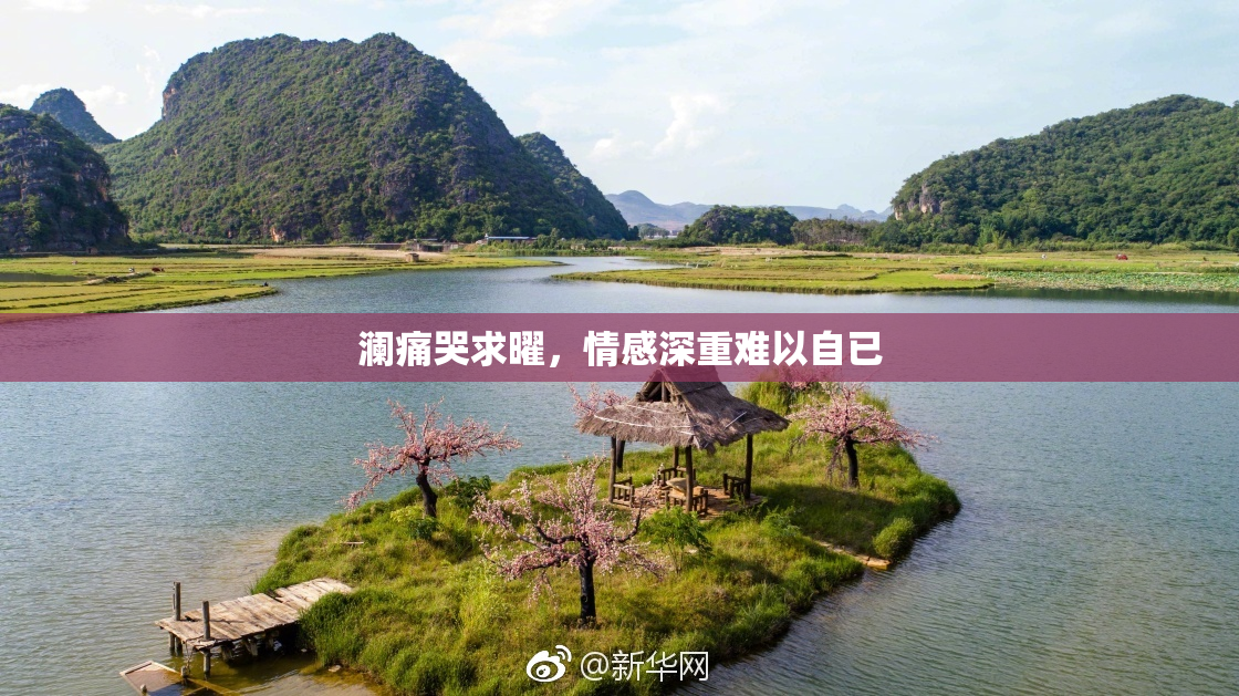 澜痛哭求曜，情感深重难以自已